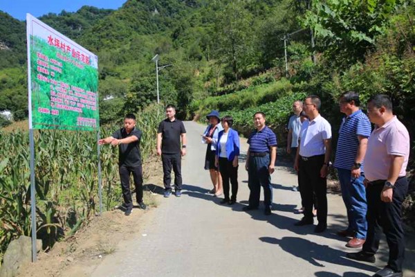 webwxgetmsgimg (11)_副本.jpg