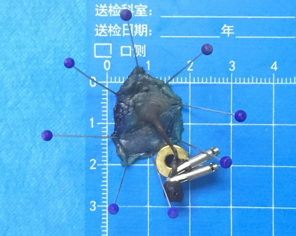 2019.7.25 报道图二_副本.jpg