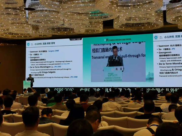 高亚.jpg 高亚.jpg