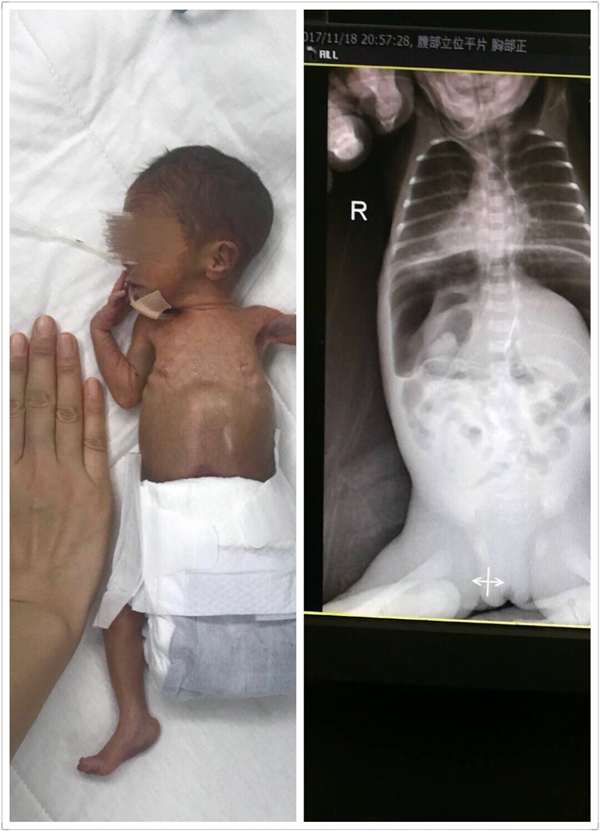 webwxgetmsgimg (4)_副本.jpg