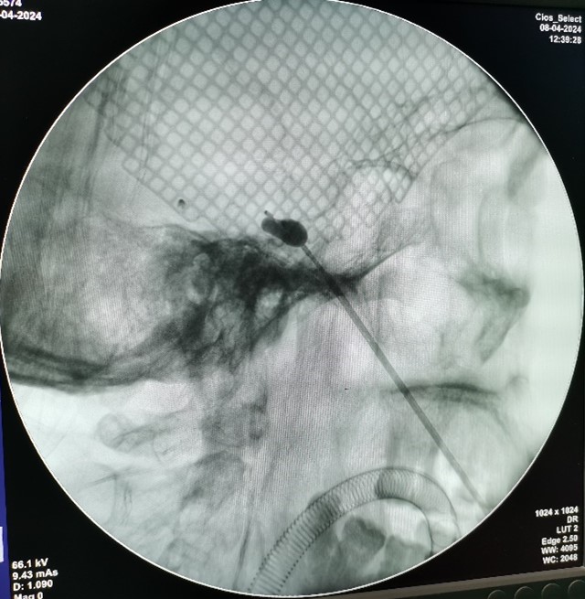 图片1.jpg 图片1.jpg