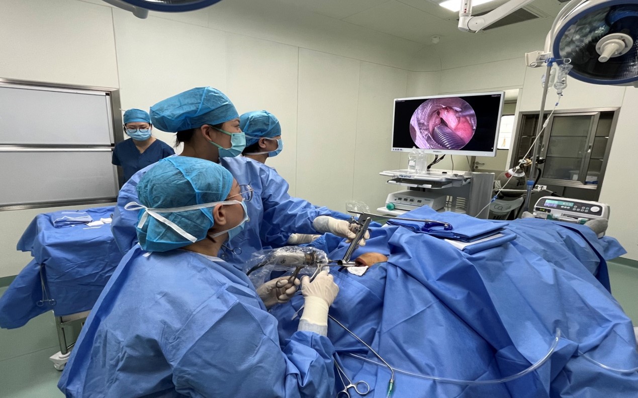 图片14.jpg 图片14.jpg