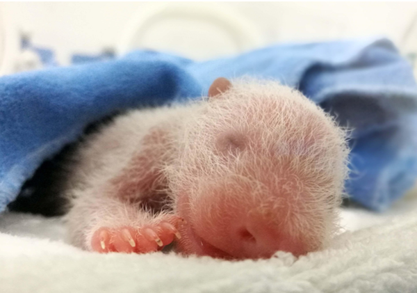 0(K~88TP)1PQ1T4)[()YG{N_副本.png 0(K~88TP)1PQ1T4)[()YG{N_副本.png