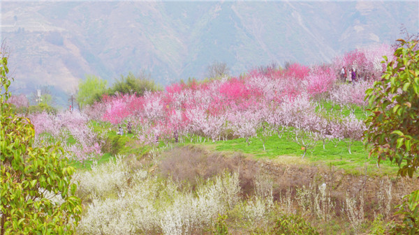 微信图片_20180327111929.jpg 微信图片_20180327111929.jpg