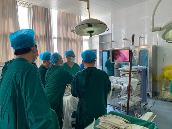 图片1_副本.png 图片1_副本.png