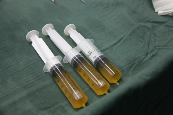 IMG_3968.jpg IMG_3968.jpg