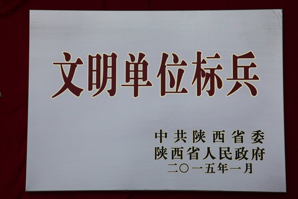 6.4.陕西省文明单位标兵.JPG
