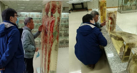 图片12.png 图片12.png