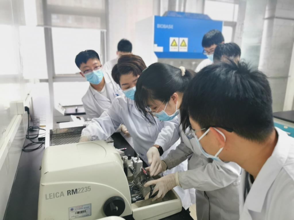 微信图片_20240403152134.jpg 微信图片_20240403152134.jpg