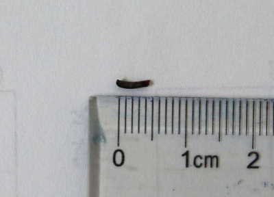 QQ图片20150722104715.jpg QQ图片20150722104715.jpg