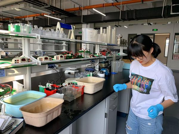 创新港打扫卫生_副本.jpg 创新港打扫卫生_副本.jpg