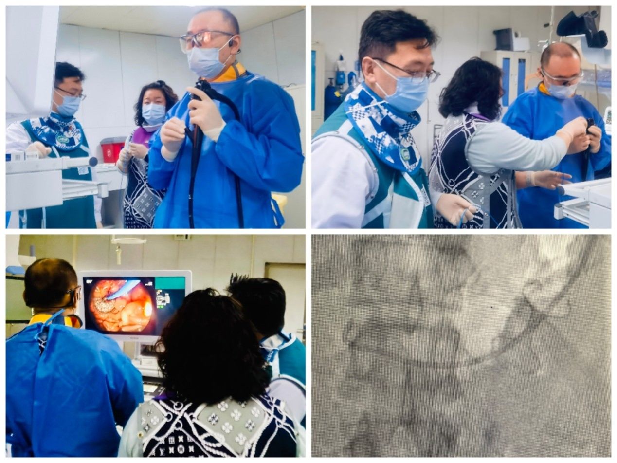 图片1.jpg 图片1.jpg