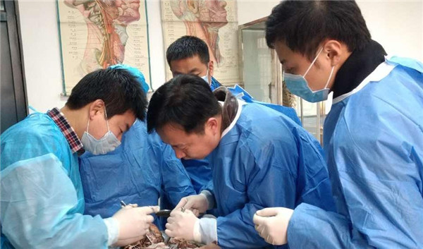 16学员医生做颈椎实体解剖_副本.jpg 16学员医生做颈椎实体解剖_副本.jpg