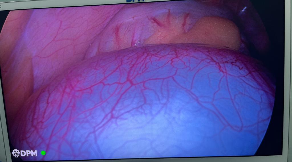 微信图片_20240403084555.jpg 微信图片_20240403084555.jpg