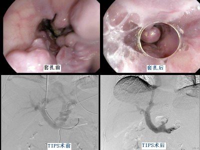 image001.jpg image001.jpg