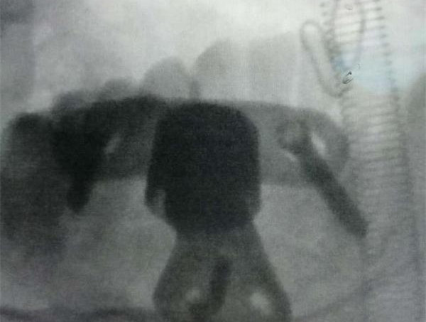 a59a93f_副本.jpg a59a93f_副本.jpg