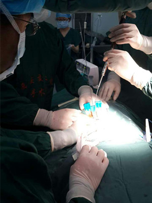 图片2.jpg 图片2.jpg