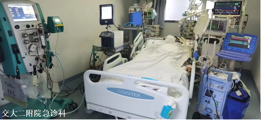 ECMO联合模式.PNG ECMO联合模式.PNG