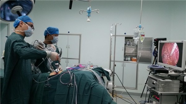13.王振龙副教授表演腹腔镜下根治性肾切除术.jpg