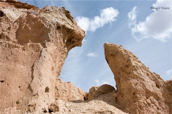 辛巴与北极熊的守望.jpg 辛巴与北极熊的守望.jpg