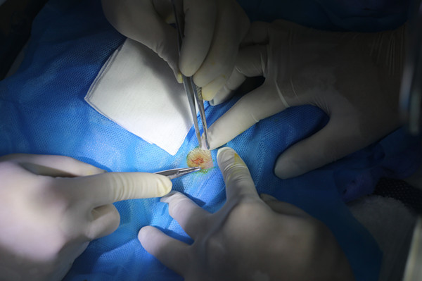 AK7R8680_副本.jpg AK7R8680_副本.jpg