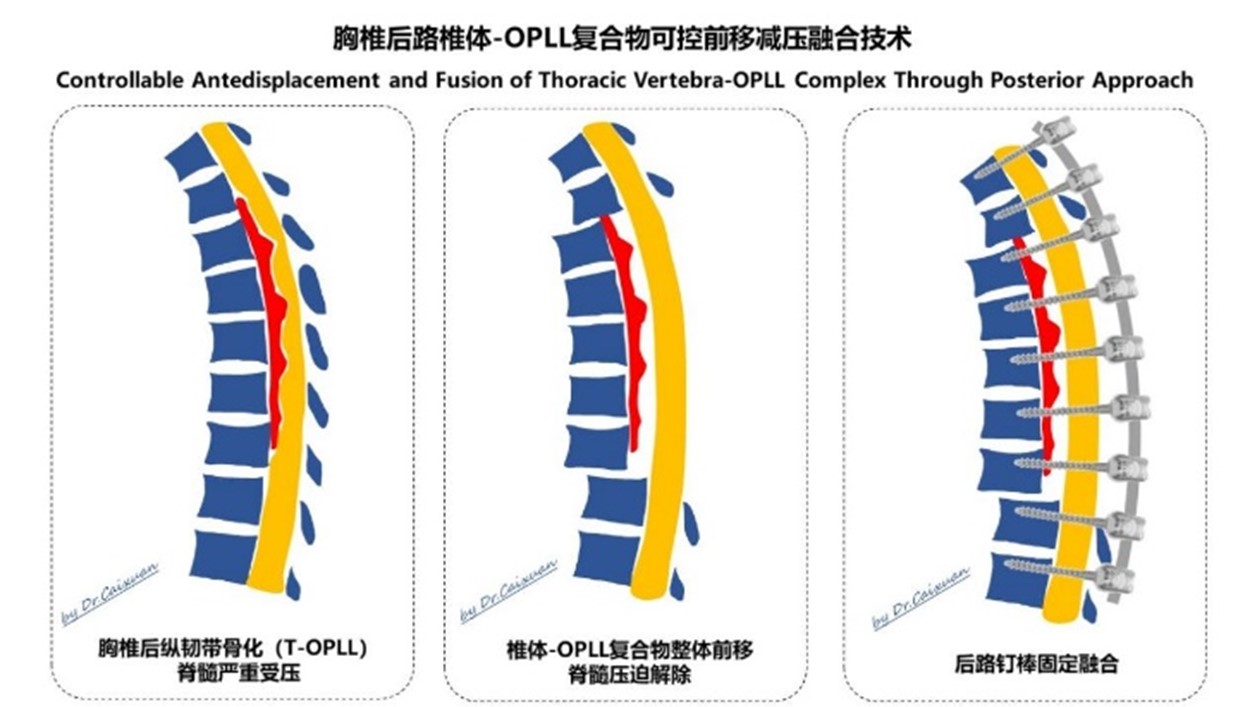 图片11.jpg 图片11.jpg